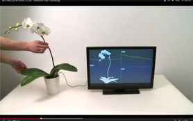 环球时讯 网络科技与计算机的融合创新与未来展望